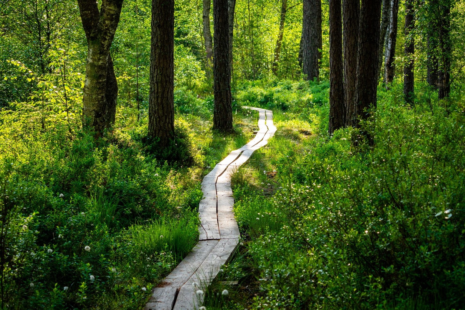 Turismo sustentável — Trilhas e atividades ao ar livre: os desafios da sustentabilidade Turismo sustentável — Trilhas e atividades ao ar livre: os desafios da sustentabilidade