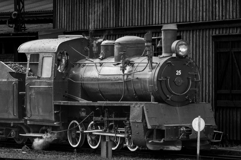 Passeios de trem